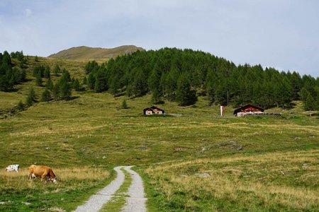 Obere – und Untere Gostalm von der Schneebergbrücke