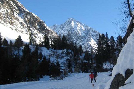 Sulztalalm - Naturrodelbahn