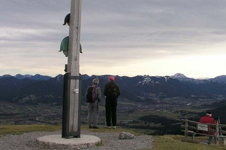 Heiglkopf-Zwieselberg (1205/1348 m) von der Waldherrnalm