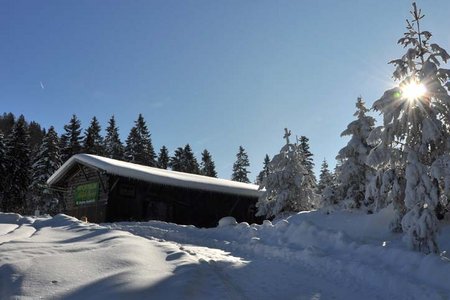 Mühlberg - Naturrodelbahn