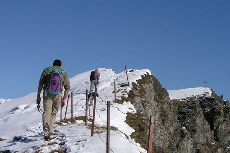 Hochgeneinerjöchl-Sumpfkopf (1981/2341 m) von der Edelraute