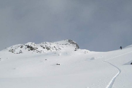 Bärentalerspitze (2450 m) vom Bärentalerhof