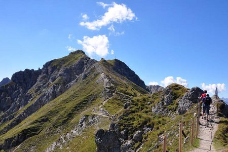 Seefelder Spitze-Härmelekopf (2221/2224 m) von der Rosshütte