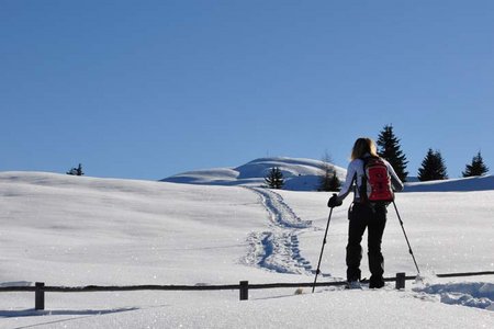 Astjoch (2194 m) vom Parkplatz Zumis