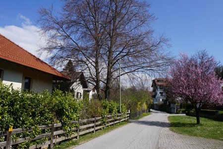 Igls-Lansersee-Teufelsmühle Runde von Judenstein