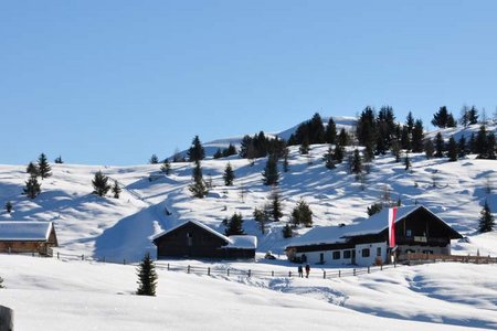 Tulper Gampis - Starkenfeldhütte