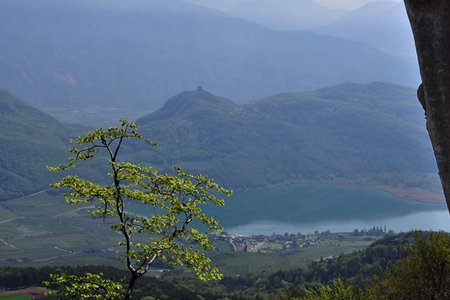 Kalterer Panoramatour - Kalterer Höhenweg