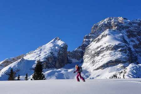 Pinscharte (2565 m) von der Plätzwiese