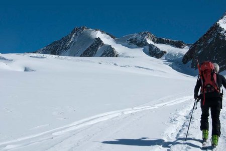 Hintere Schwärze (3624 m) von der Martin Busch Hütte