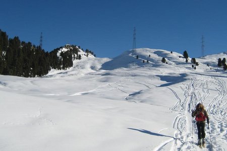 Faltegartenköpfl  (2184 m) vom Sattele