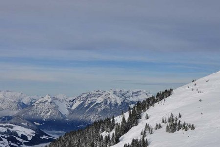 Schatzberg-Hahnkopf (1902 m) von Inneralpbach