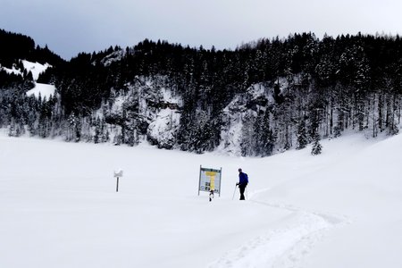 Taubensee (1140m) vom Mühlberg in Kössen