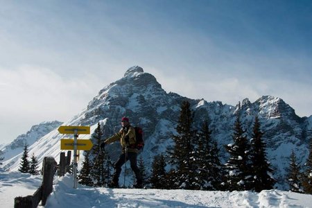 Gleinser Jöchl-Waldraster Jöchl (1878 m) von Mieders