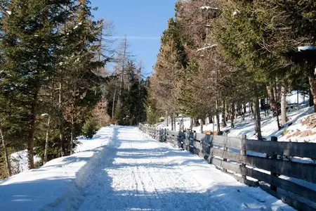 Öberst / Kasereck - Naturrodelbahn