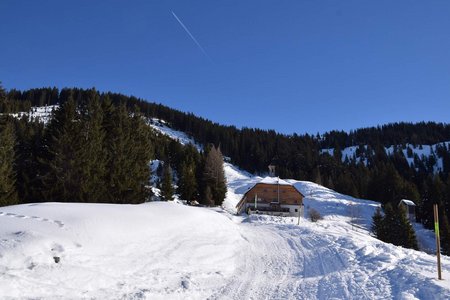 Kelchalm Bochumer Hütte - Naturrodelbahn