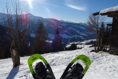 Feilmoos - Thaleralm - Rundwanderung, Alpbach