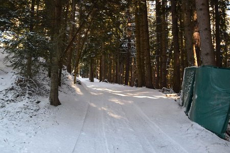 Naturrodelbahn Spinges Jochtal