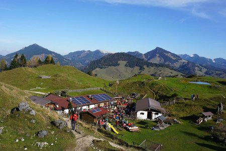 Kranzhornalm von Walchsee über Wildbichl