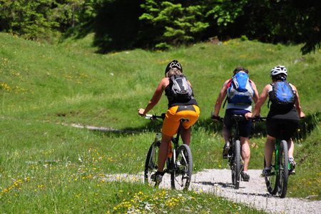 Tipps für die Organisation der perfekten Biketour