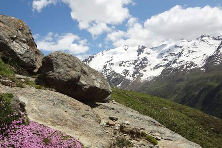 Hinterer Langtauferer Höhenweg von Melag