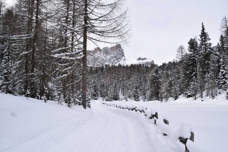 Pares / Munt d'Adagn - Naturrodelbahn