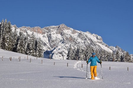 Jufenalm (1050 m) von Hintermoos