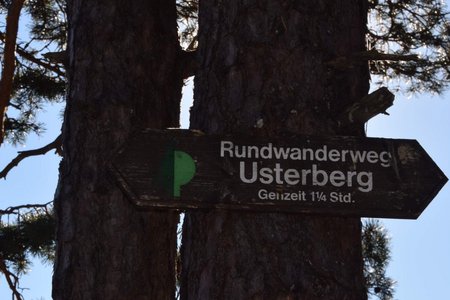 Usterberg-Rundwanderung in Gnadenwald