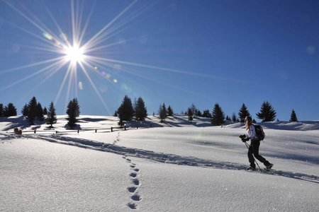 Infos zum Schneeschuhwandern