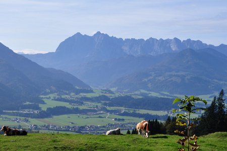 Rinderbrachalm – Frankenalm Rundwanderung im Kaiserwinkl