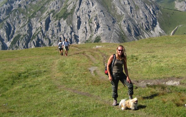 Wandern mit Hund im Tannheimer Tal