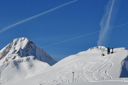 Auf der Mutte (2187 m) von Elbigenalp