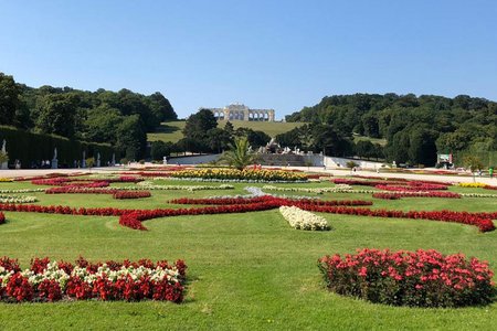 Die besten Wanderungen rund um Wien