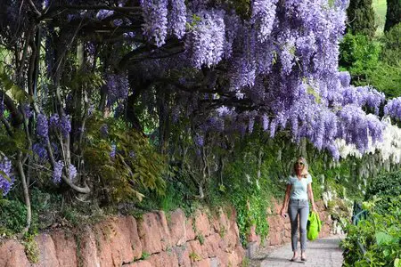 Oswaldpromenade - Bozen