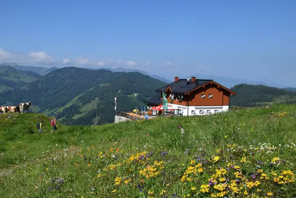 Wanderungen in Salzburg: Naturjuwele entdecken