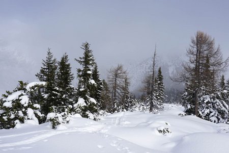 Jöchle (1786 m) & Aussichtsplattform über das Lehnberghaus von Arzkasten