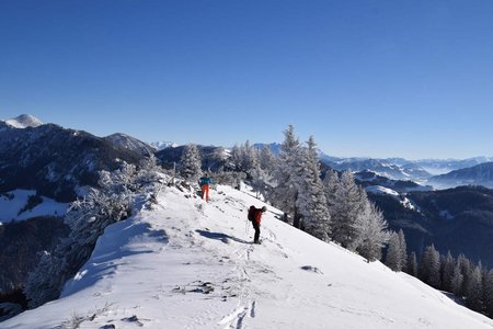 Tristmahlnschneid (1452 m) von Sachrang