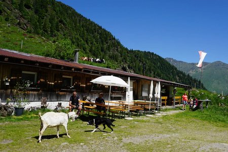 Valtigl Alm von Mareit