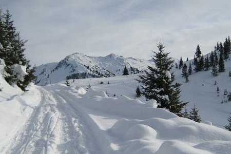 Loassattel  - Naturrodelbahn