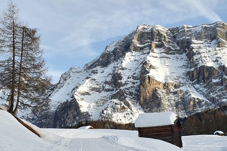 Winterwanderung Roda de Armentara Wiesen