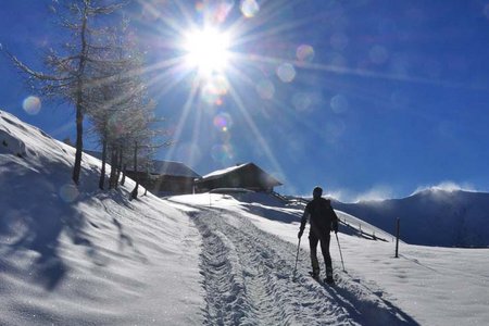 Vögeleralm - Naviser Hütte Rundwanderung