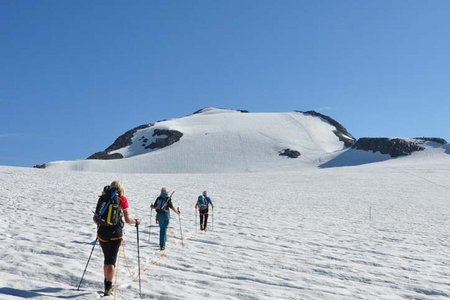 Venter Gletscher - Rundtour Tag 2