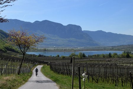 Von Kaltern um den Mitterberg