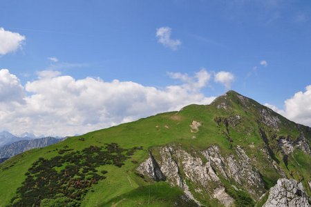 Schneidspitze (2009 m) von Höfen