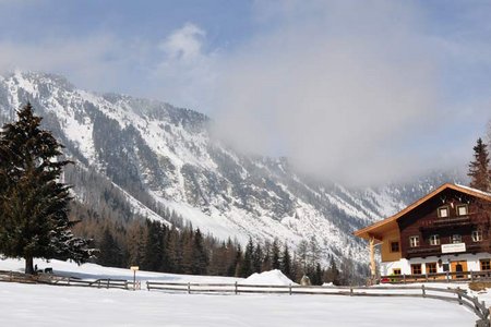 Wurzbergalm (1573 m) von Köfels