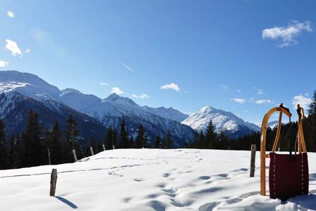 Oberholz / Speikbodenhütte - Naturrodelbahn