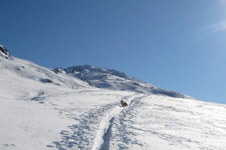 Halslspitze (2574 m) von Innerst