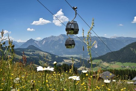 Sommer-Bergbahnen in Alpbachtal & Wildschönau