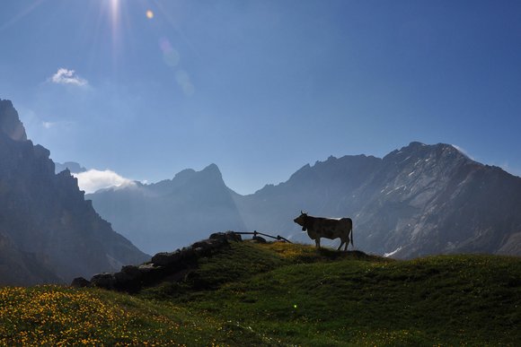 Naturpark Fanes - im Königreich der Natur