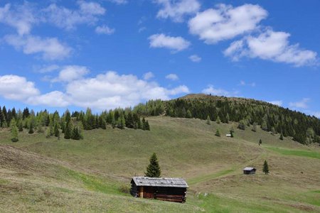 Dorfberg (2115 m) von Rauchenbach/Klammerwirt