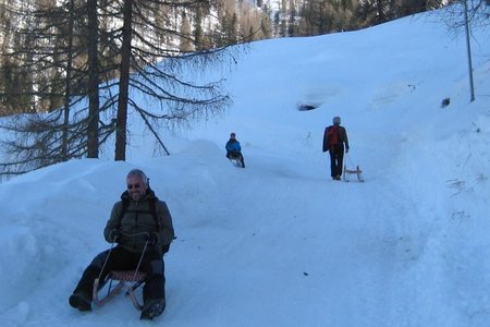 Alpe Stalle - Naturrodelbahn